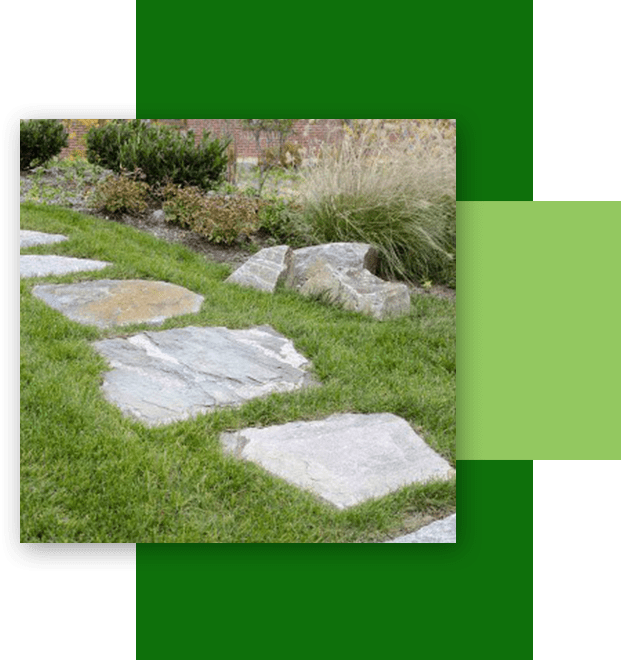 A picture of some grass and rocks in the yard.